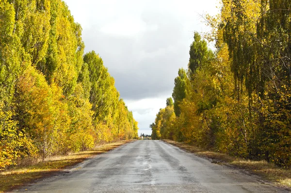 Road in autumn — Stock Photo, Image