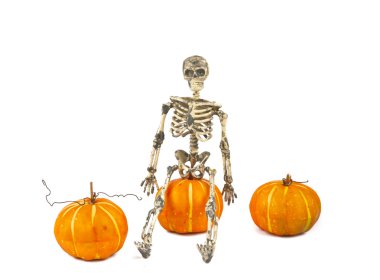 iskelet ile izole bir kabak