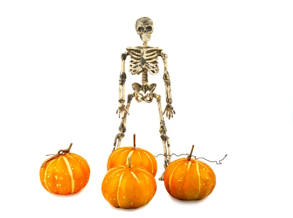 Skeleton with a pumpkin — Stock Photo, Image