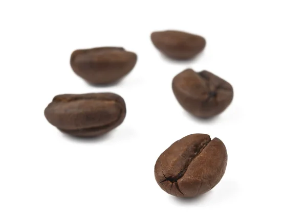 Isolerade kaffebönor — Stockfoto