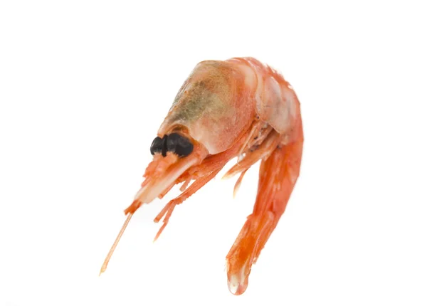 水煮的虾隔离 — 图库照片