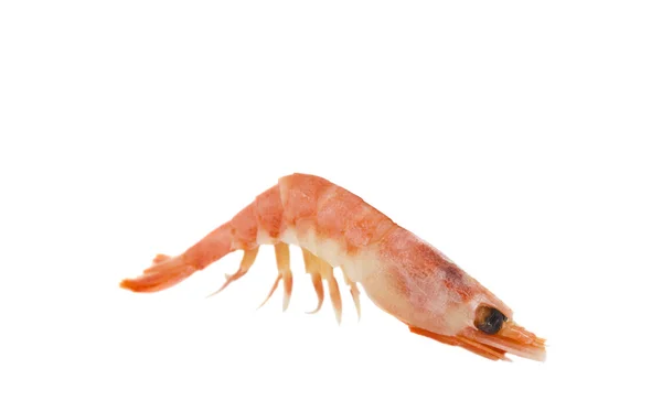 Boiled shrimp isolated — Stock Photo, Image