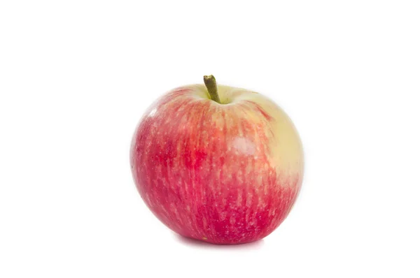 Elma izole edildi — Stok fotoğraf
