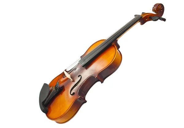 Скрипки, ізольовані — стокове фото