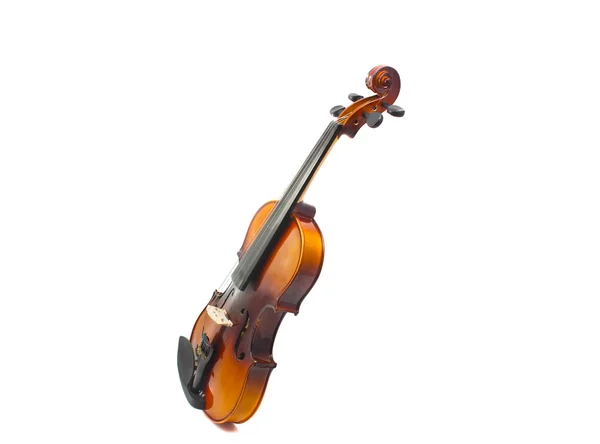 Violino isolado — Fotografia de Stock