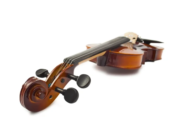 고립 된 바이올린 — 스톡 사진