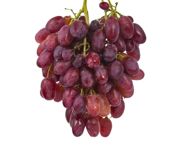 Pink grape isolated — Stock Photo, Image