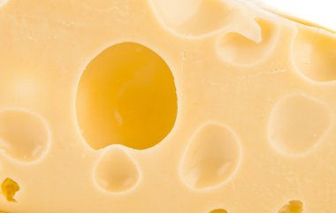 arka plan taze İsviçre peyniri