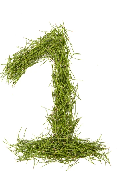 Numbers of pine needles isolated — Stock Photo, Image