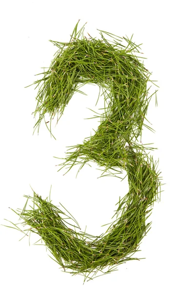 Numbers of pine needles isolated — Stock Photo, Image