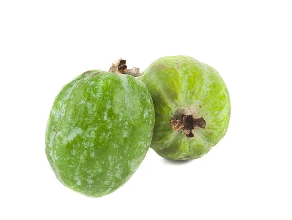 Feijoas fruits isolated — Stock Photo, Image