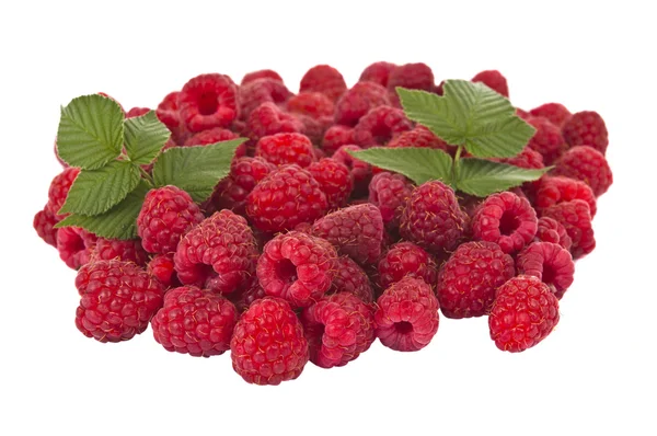 Ripe raspberry isolated — Stock Photo, Image