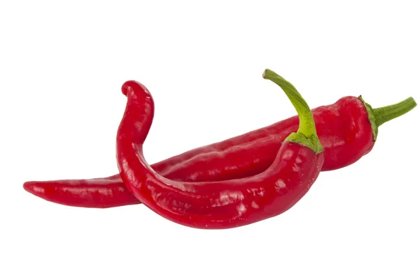 Chili pepper isolated — Stock Photo, Image