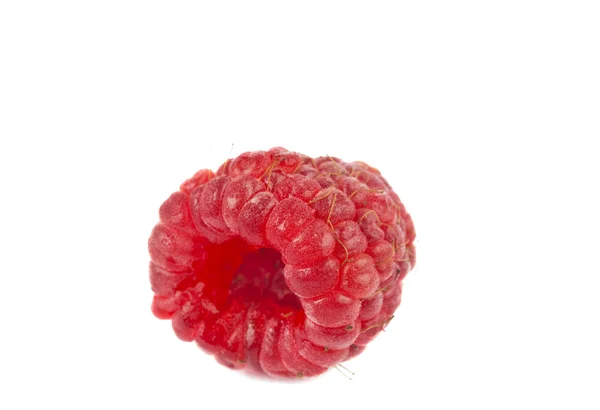 Reife Himbeeren isoliert — Stockfoto