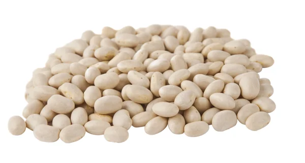 격리 된 흰 콩 — 스톡 사진