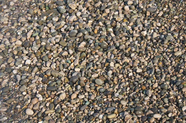 Pebbles background — Stock Photo, Image