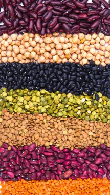 baklagil koleksiyonu