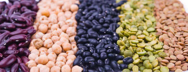 Legume collection — Stock Photo, Image