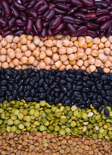 Colección Legume — Foto de Stock