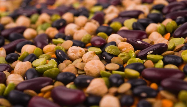 Kidney bean, lentil, peas and chick-pea — Stock Photo, Image