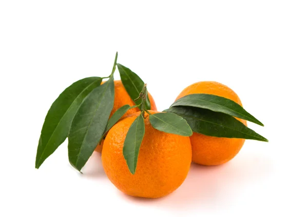 Tangerines isolated — Stock Photo, Image