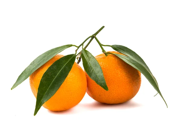 Tangerinas isoladas — Fotografia de Stock