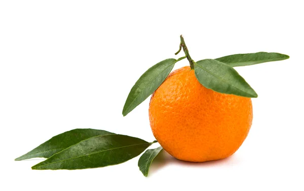 Tangerines isolated — Stock Photo, Image