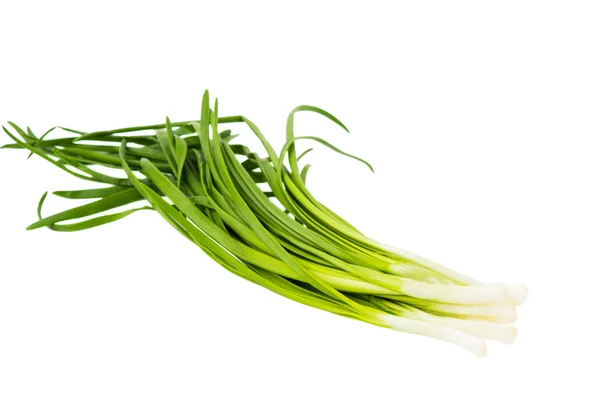 Green onions isolated — Stock Photo, Image