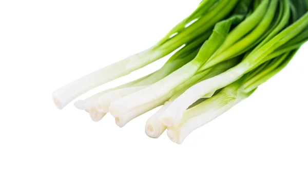 Green onions isolated — Stock Photo, Image
