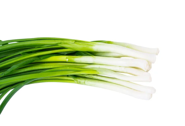 Green onions isolated — Stock Photo, Image
