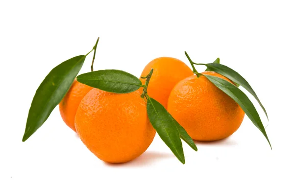 Tangerinas isoladas — Fotografia de Stock