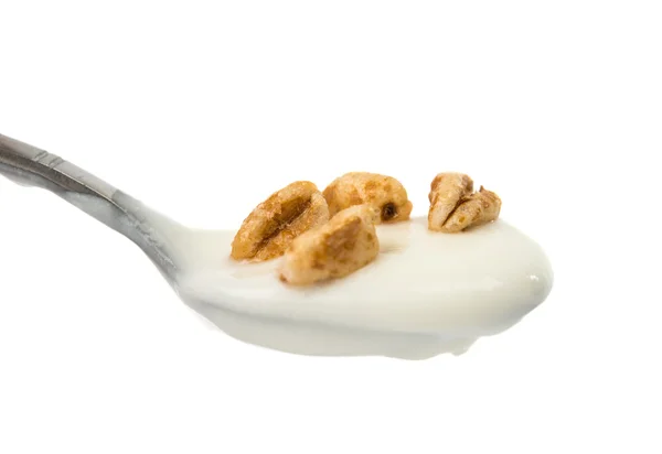 Jogurt, samostatný — Stock fotografie