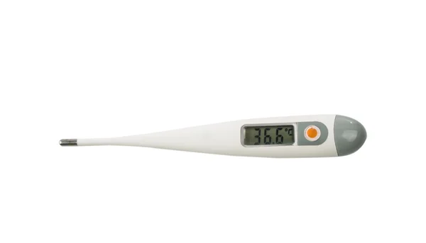 Izole elektronik termometre — Stok fotoğraf