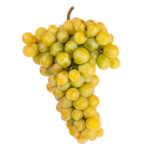 Uvas — Foto de Stock