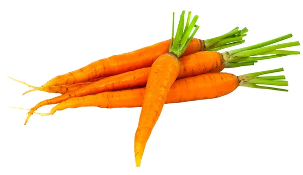 Fresh carrots isolated — Stock Photo, Image