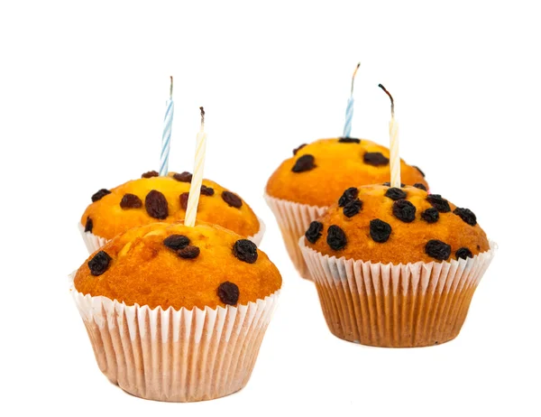 Muffins met rozijnen geïsoleerd — Stockfoto