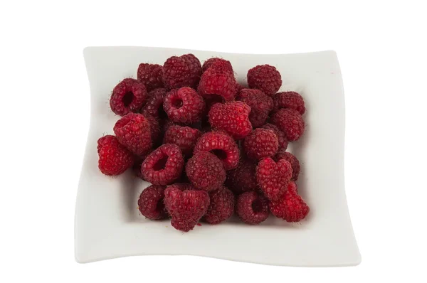 Raspberry isolated — Stock Photo, Image