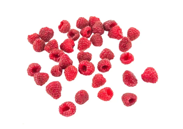 Raspberry isolated — Stock Photo, Image