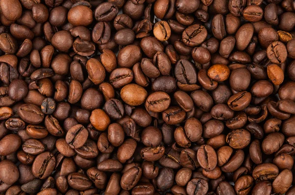 Coffee beans — Stock Photo, Image