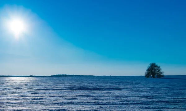 Winterlandschap in een veld — Stockfoto