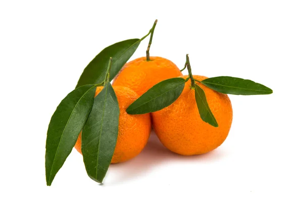 Tangerines isolées — Photo