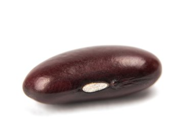 Kırmızı kuru fasulye