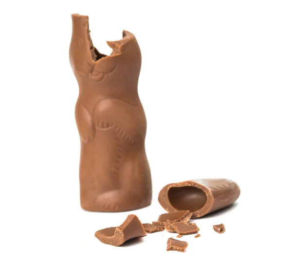 Conejo de chocolate de Pascua — Foto de Stock