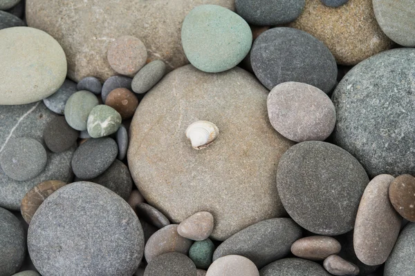 Closeup of pebbles background — Stock Photo, Image