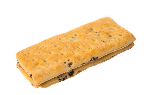 Shortbreads cookie s rozinkami — Stock fotografie