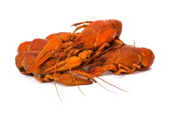 Crayfish — Stock Photo, Image