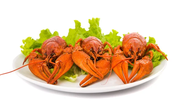 Boiled crawfish and lettuce Royalty Free Stock Images