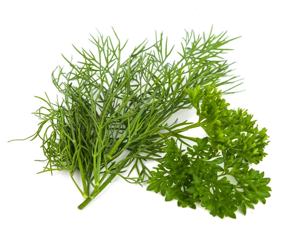 Dill. — Fotografia de Stock