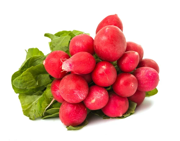 Radish bunch isolated — Stock Photo, Image