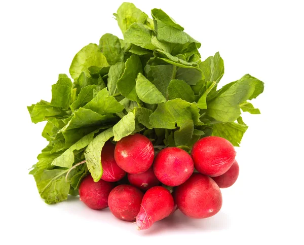 Radish bunch isolated — Stock Photo, Image